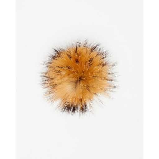 Pompon