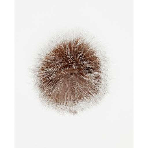 Pompon