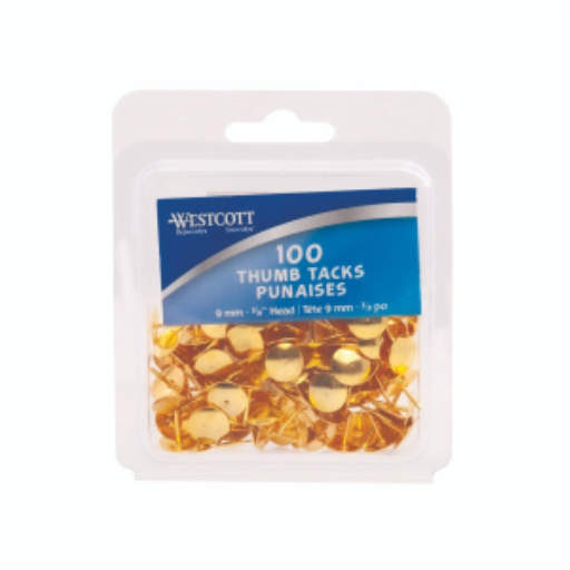 Brass Thumb Tacks 100/Clamshell /
Punaises laitonn?es, 100 par coquille
