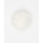 Pompon