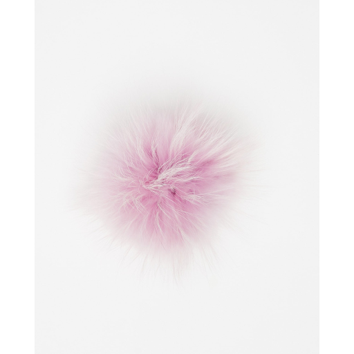 Pompon