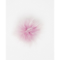 Pompon