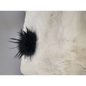 Mini Pompon