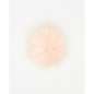 Pompon