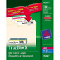 15266 FILING LABELS, TRUEBLOCK, 37/16" X 2/3", PERMANENT, A