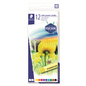2430-C12-08 STAEDTLER-Mars Limited SOFT PASTEL CHALKS ASST 1