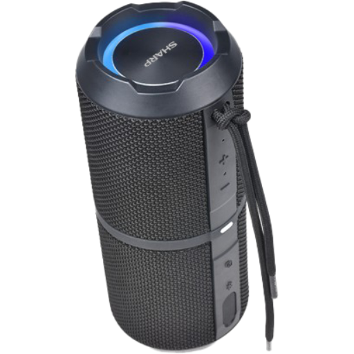 Regular Bluetooth Speaker, Black