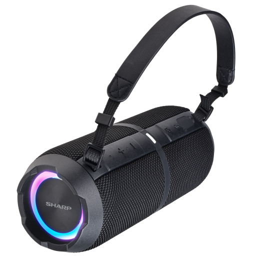 Regular Bluetooth Speaker, Black
