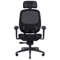 Razer Gaming Chair Fujin Pro Ergonomic Mesh Chair with 3D Headrest 4D Armrests 2D Lumbar Support Synchro-Tilt Technology - Black